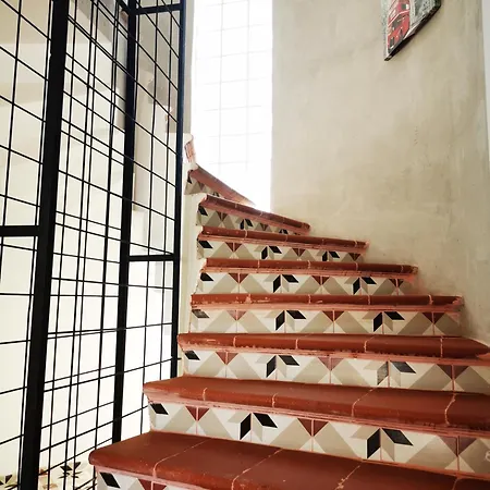 Red F30 Kirmizi,modern Tasarimli Belek